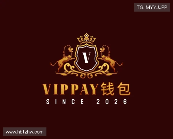 了解VipPay钱包